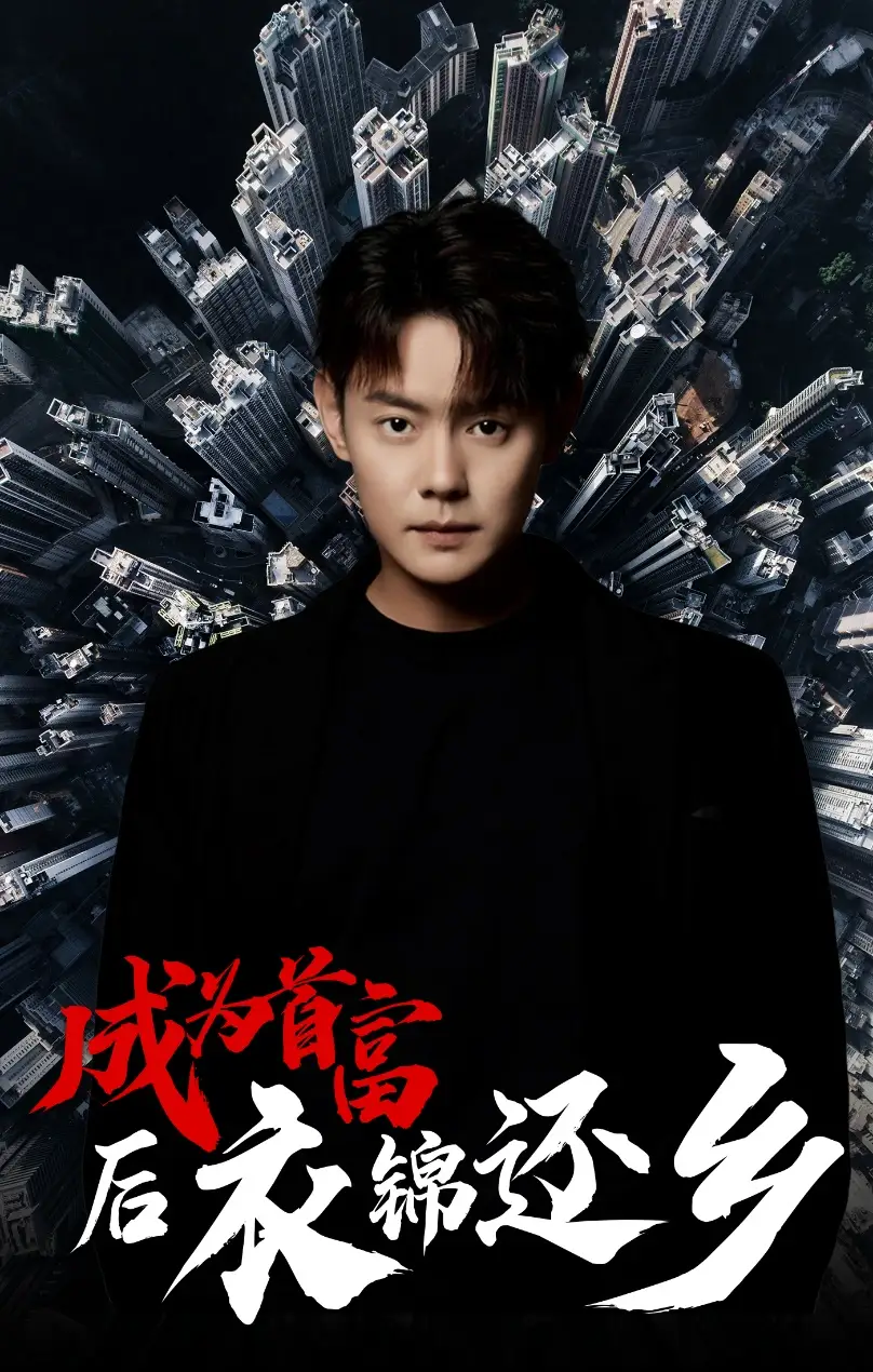 成为首富后衣锦还乡（30集）代代
