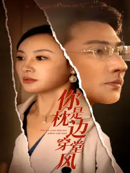 你是枕边穿堂风（78集）