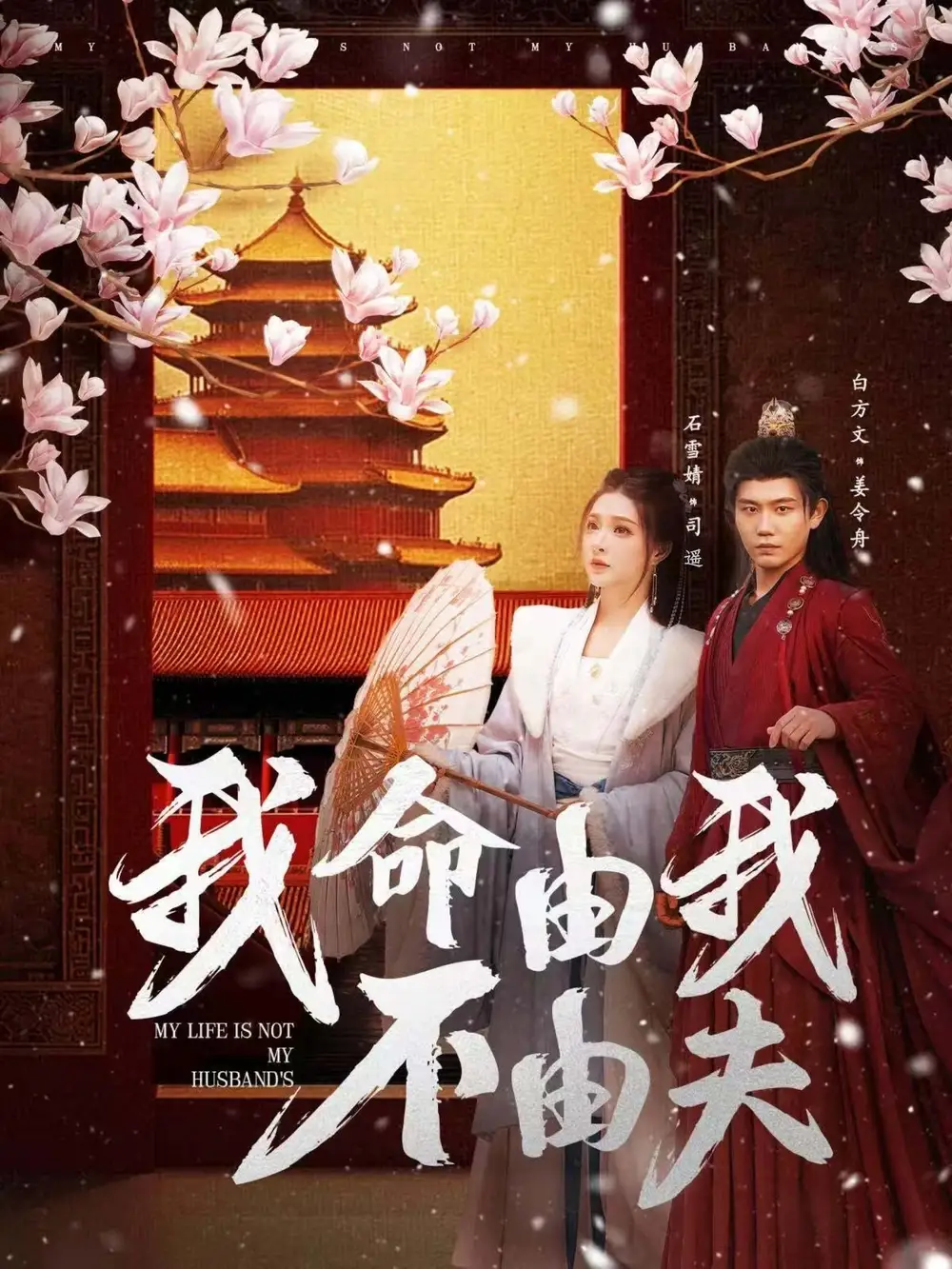 我命由我不由夫（75集）