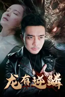 龙有逆鳞（81集）