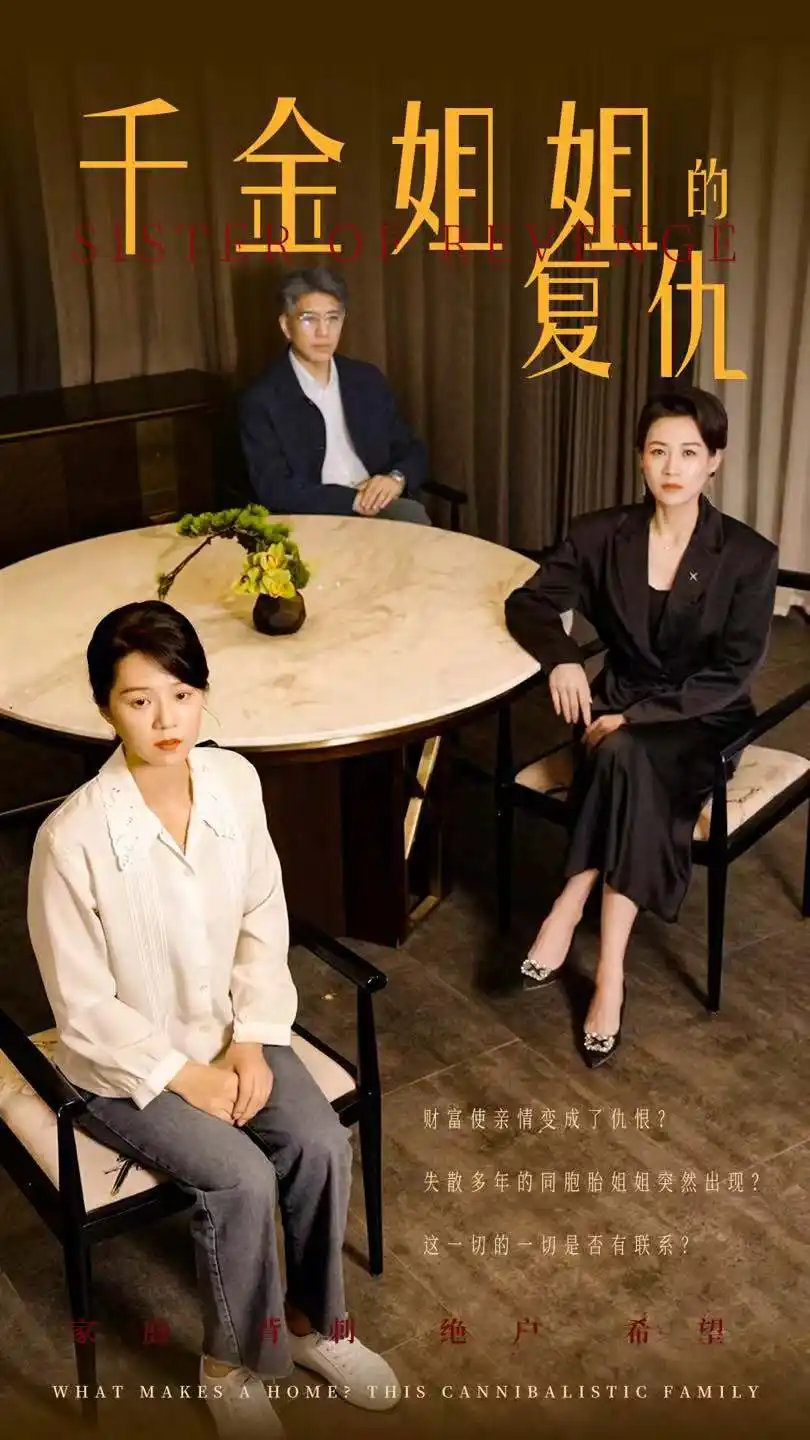 千金姐姐的复仇（79集）
