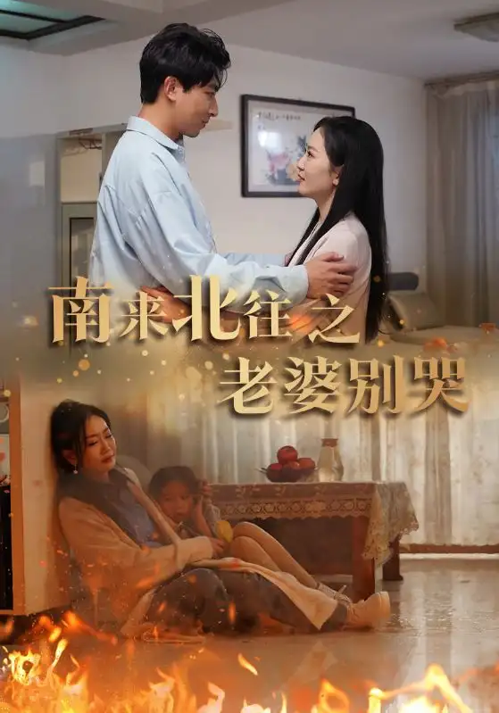 南来北往之老婆别哭（87集）姚宇晨