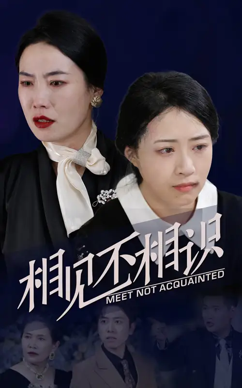 相见不相识（34集）