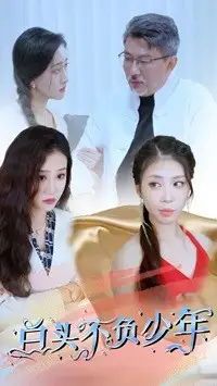 白头不负少年（60集）