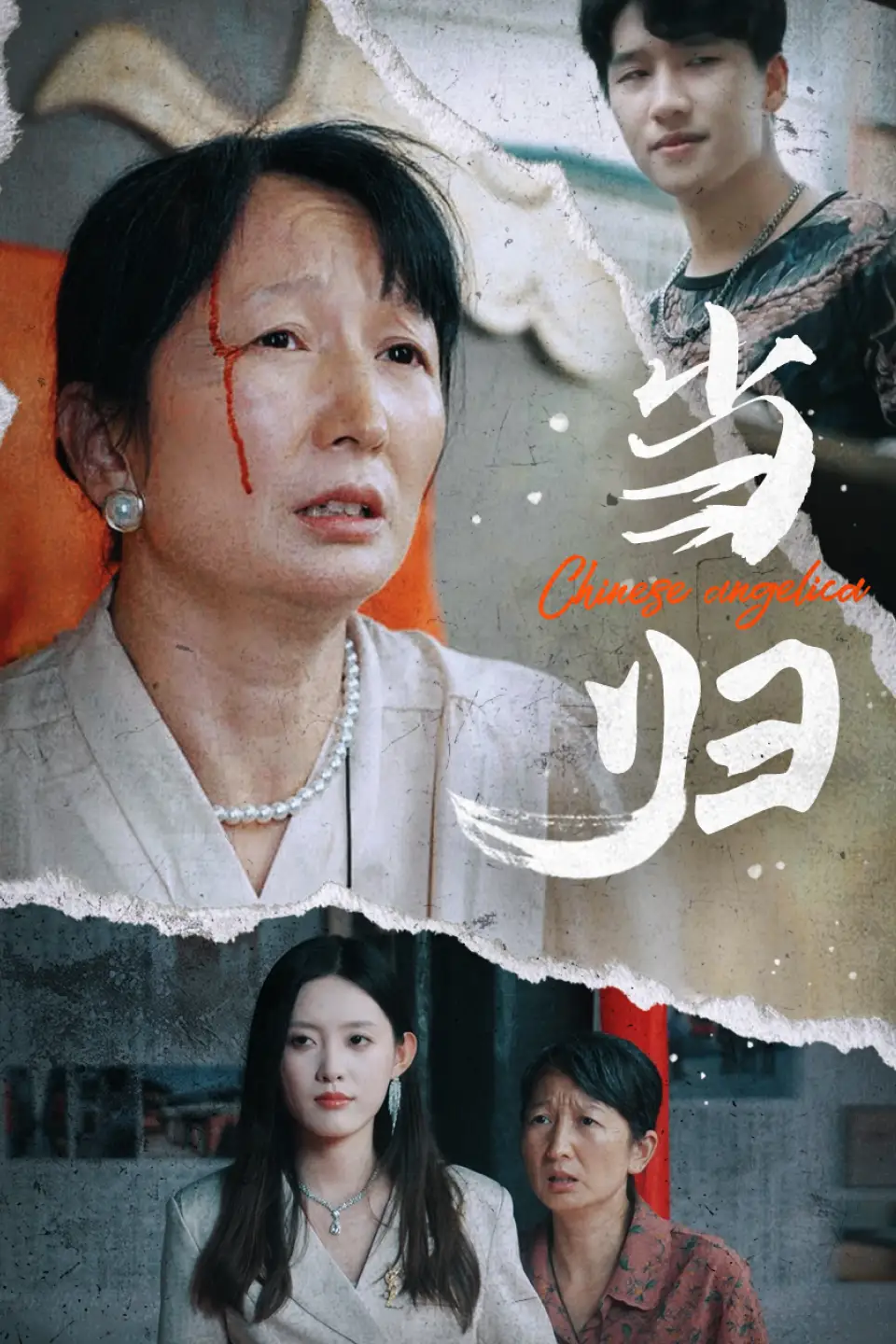当归（50集）