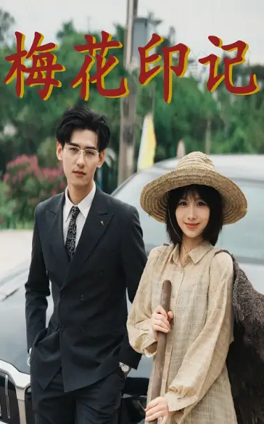 梅花印记（48集）