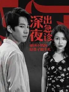 深夜出急诊，碰到小奶狗陪妻子做手术（50集）