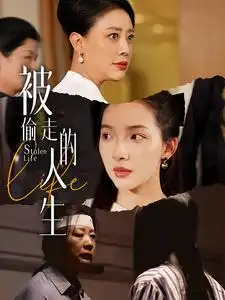 被偷走的人生&遥不可及的母亲（35集）
