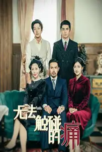 无法触碰的痛（80集）