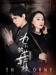为你披荆斩棘（90集）