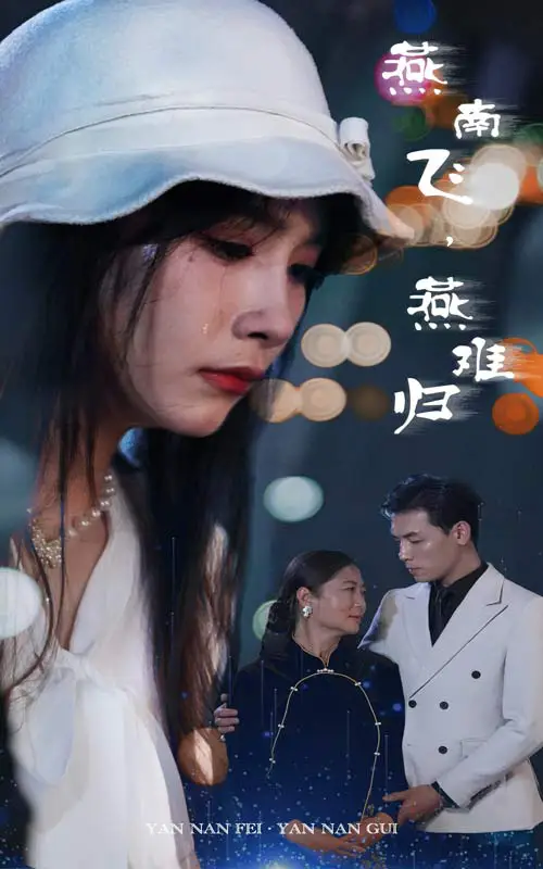 燕南飞，燕难归（31集）