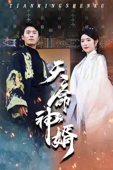 天命神婿（80集）