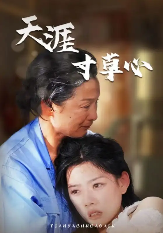 天涯寸草心（76集）陈思琦