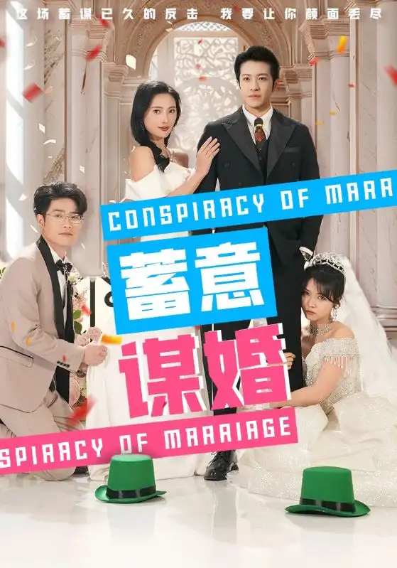 蓄意谋婚（30集）可凡