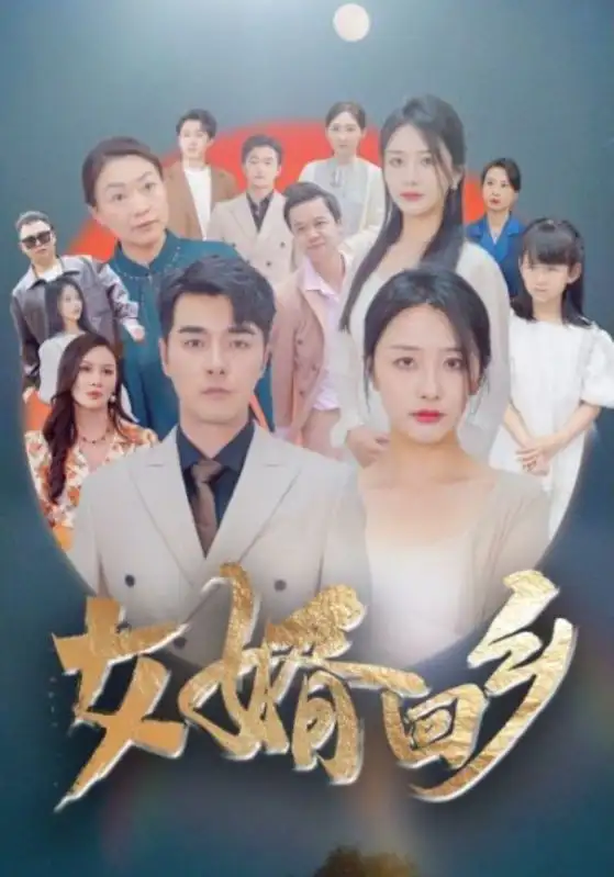 女婿回乡（120集）