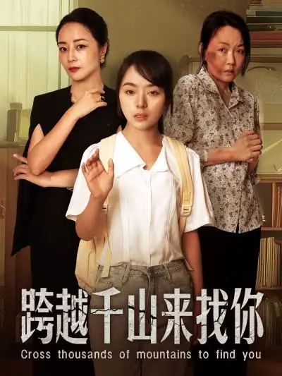 跨越千山来找你（73集）