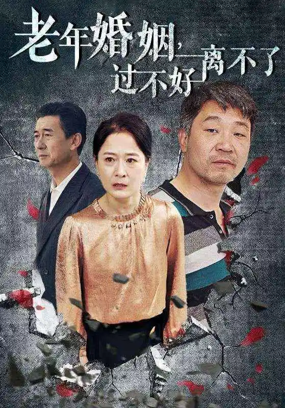 老年婚姻，过不好离不了（50集）