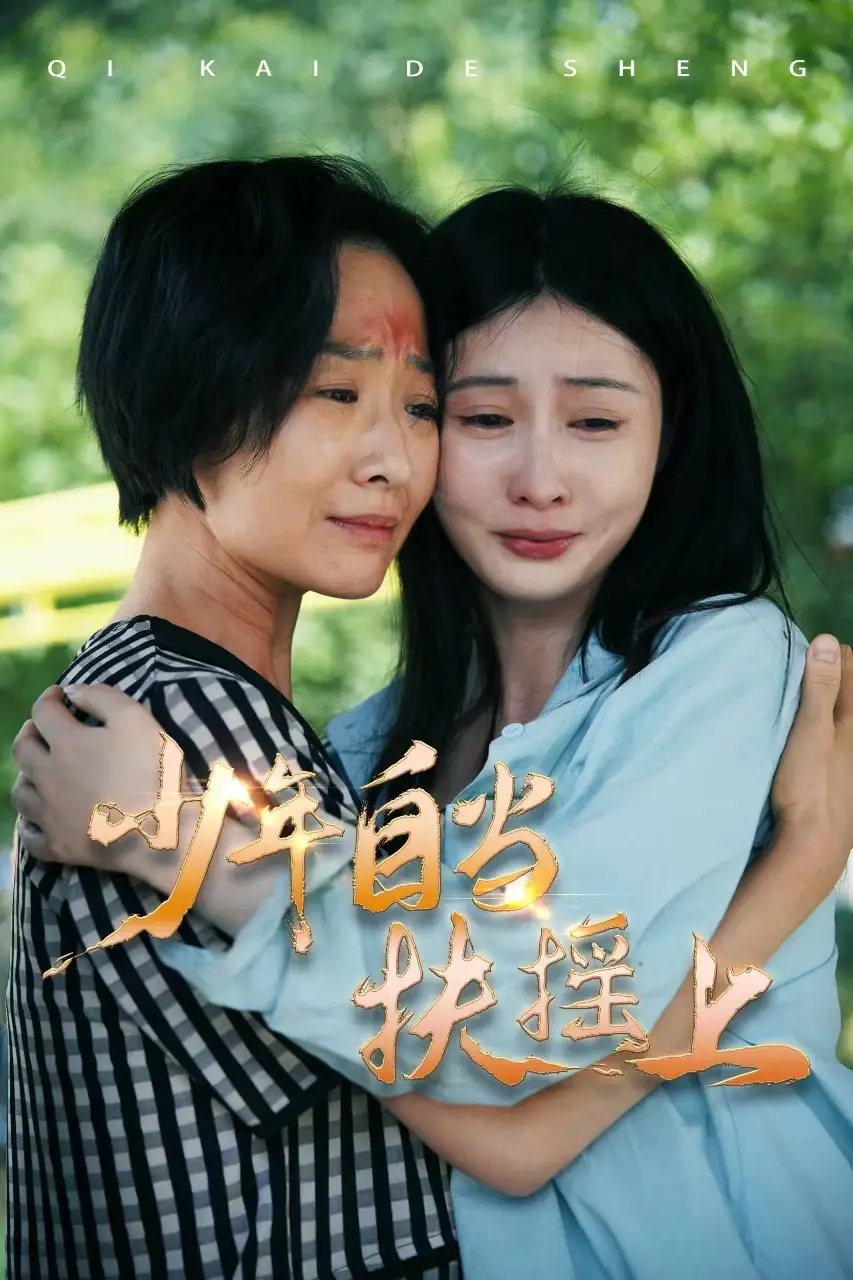 少年自当扶摇上（30集）范佳琪