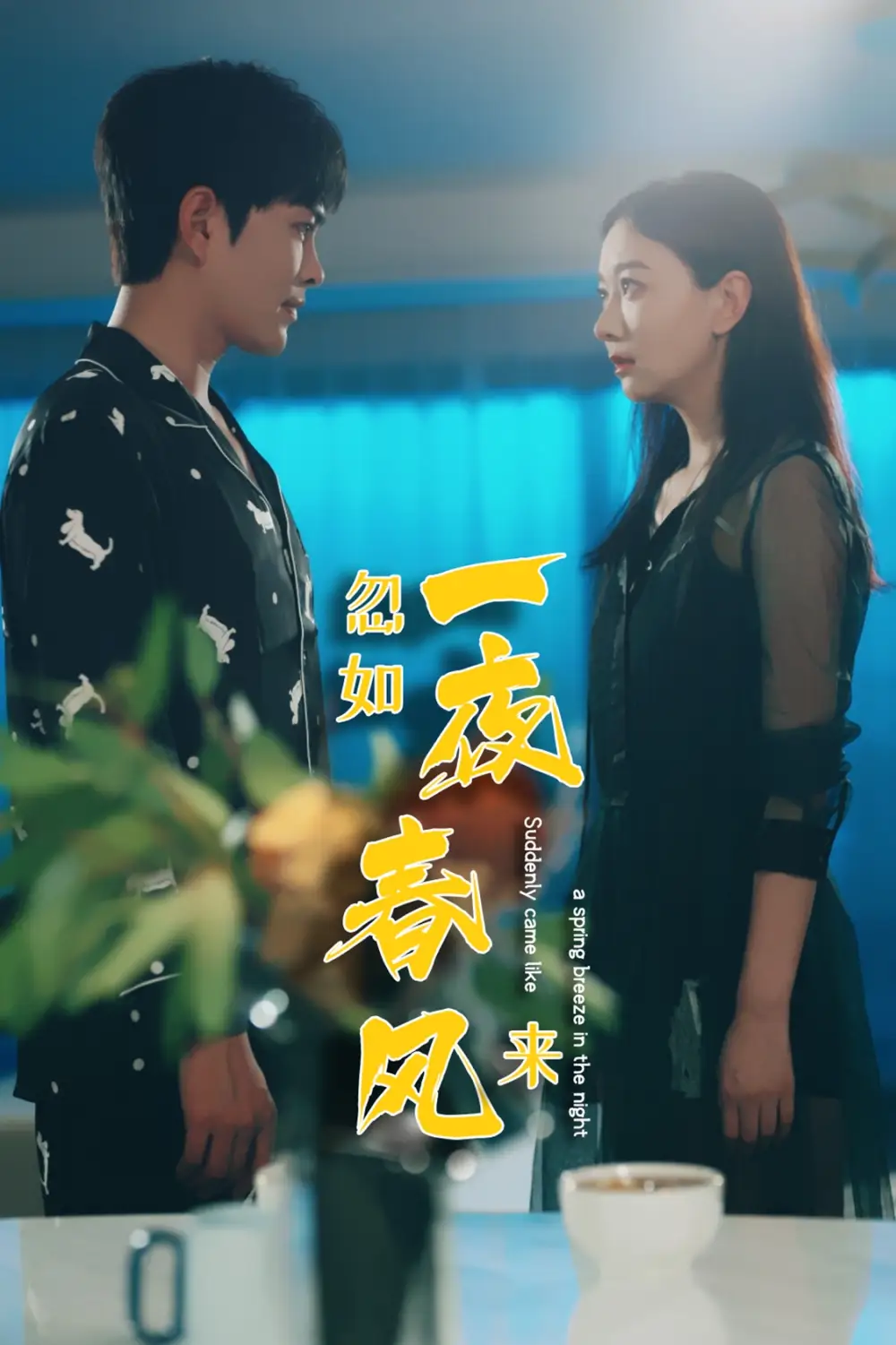 忽如一夜春风来（28集）徐江帅