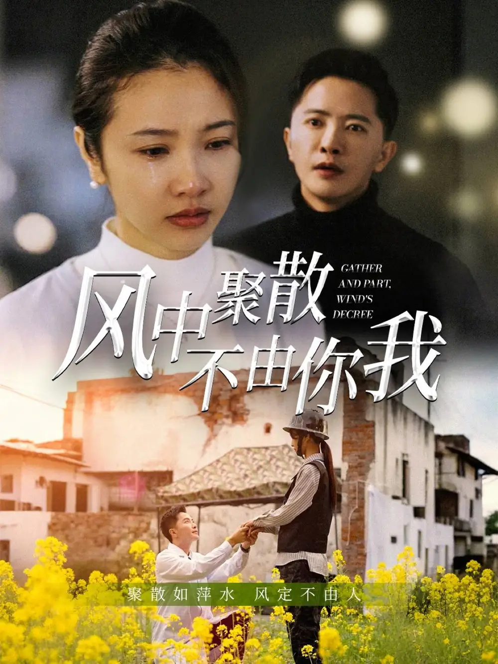 风中聚散不由你我（41集）