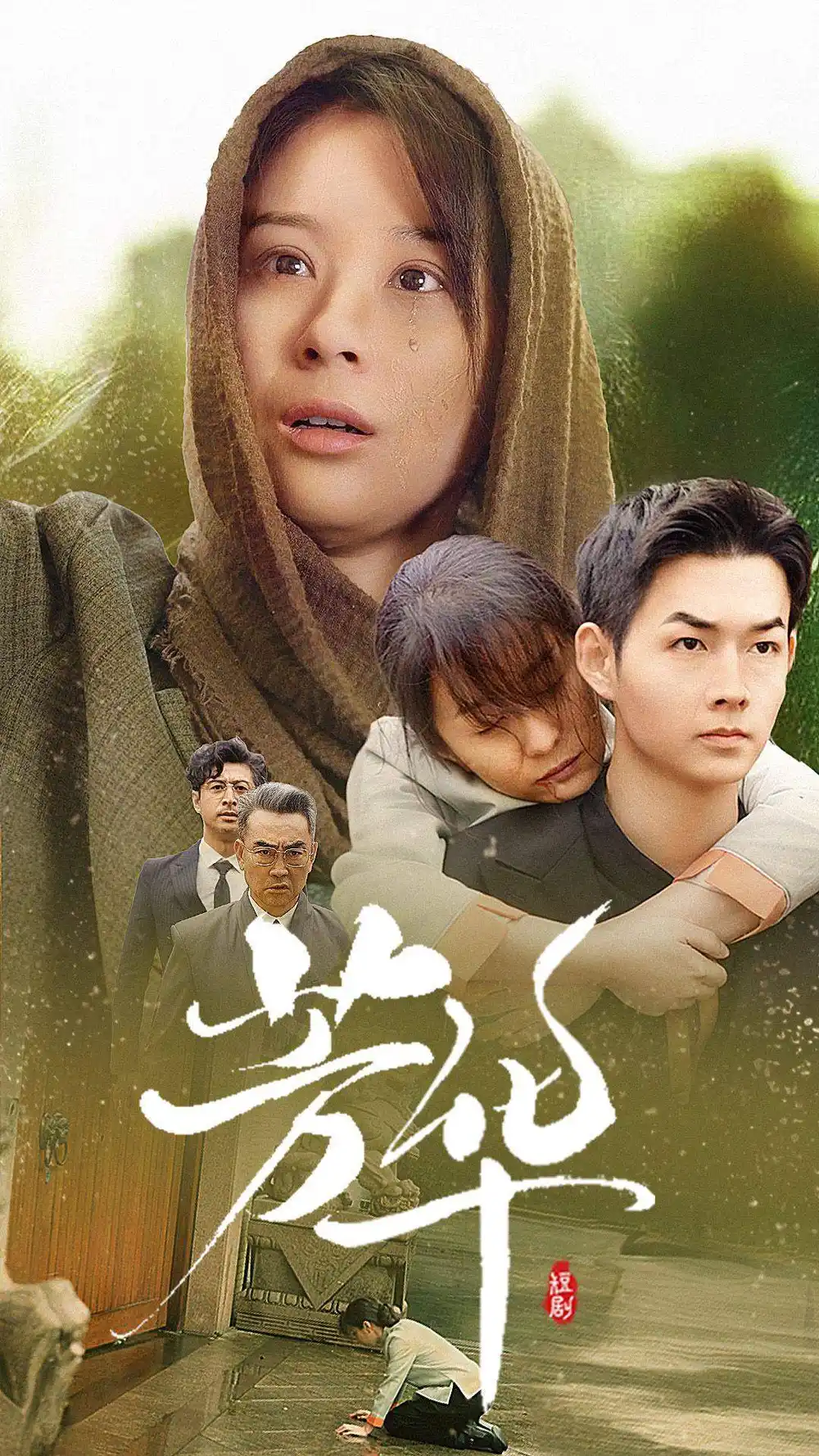 芳华（80集）