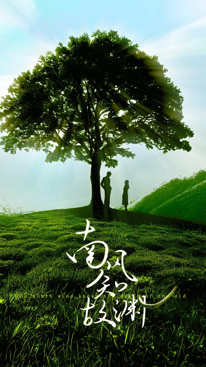 皎皎南风星&南风知故渊（80集）