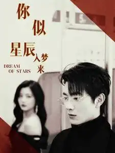 你似星辰入梦来（105集）