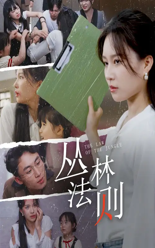 丛林法则（29集）
