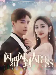 闪婚闪到大BOOS（76集）
