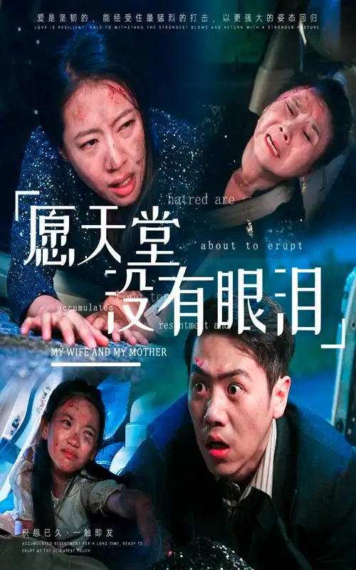 愿天堂没有眼泪（70集）