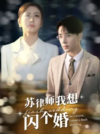 苏律师我想闪个婚&苏大律的社畜女友（95集）