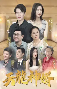 天龙神婿（80集）