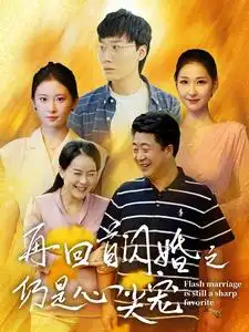再回首闪婚之仍是心尖宠（36集）