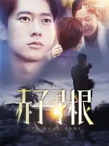 赤子寻根（100集）