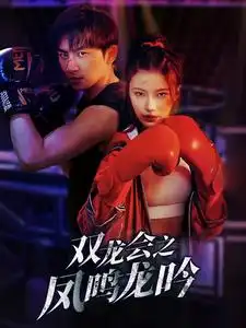 双龙会之凤鸣龙吟（80集）