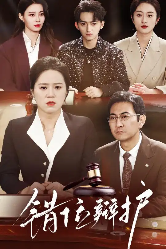 错位辩护（34集）