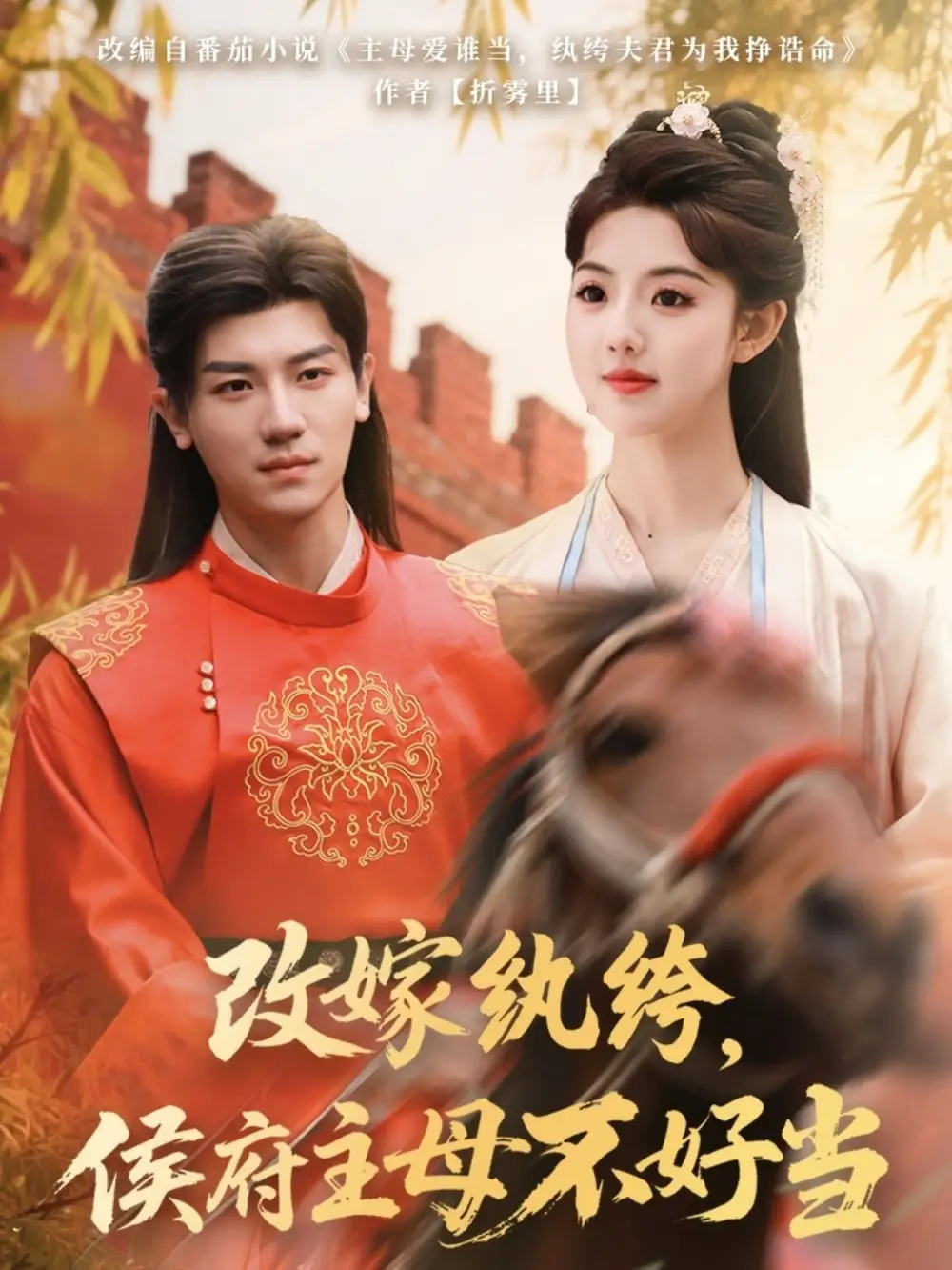 改嫁纨绔侯府主母不好当（80集）安子杨＆田甜一
