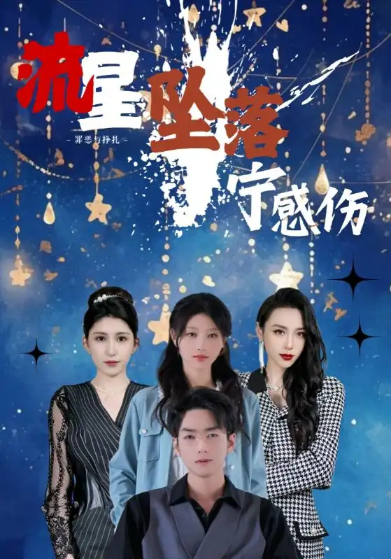 流星坠落宁感伤（82集）