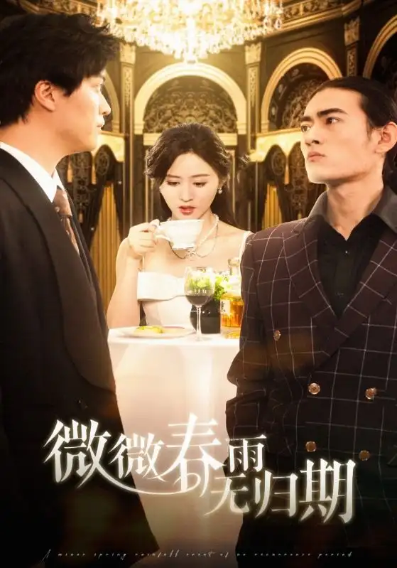 微微春雨无归期（65集）书雪漫&笙笙