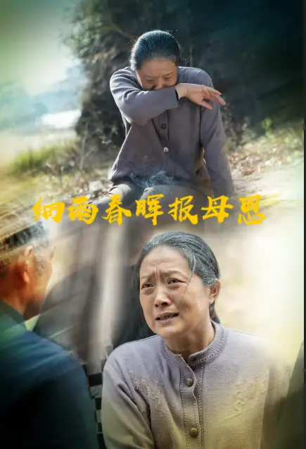细雨春晖报母恩（30集）