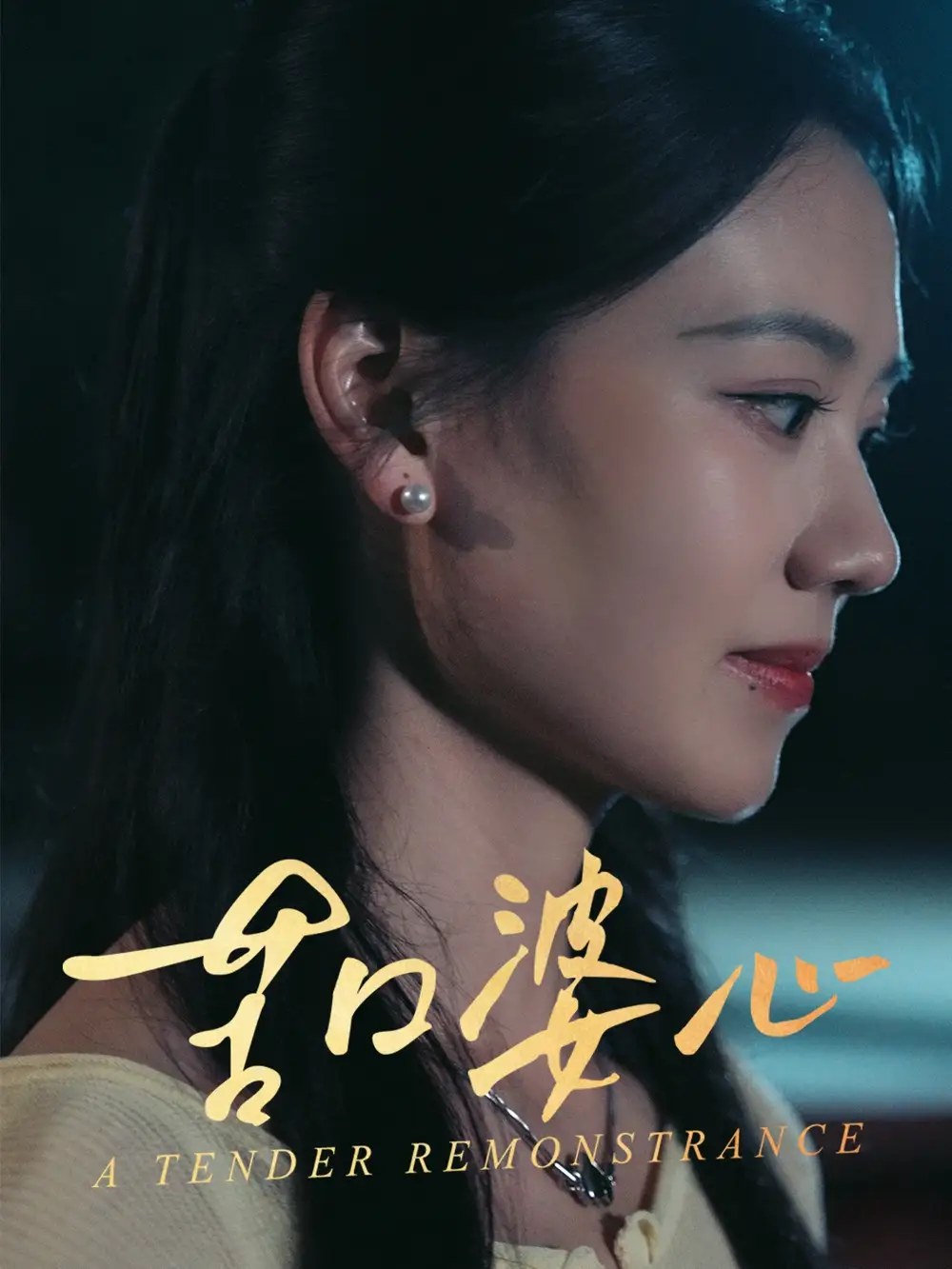 苦口婆心（50集）王艳秋