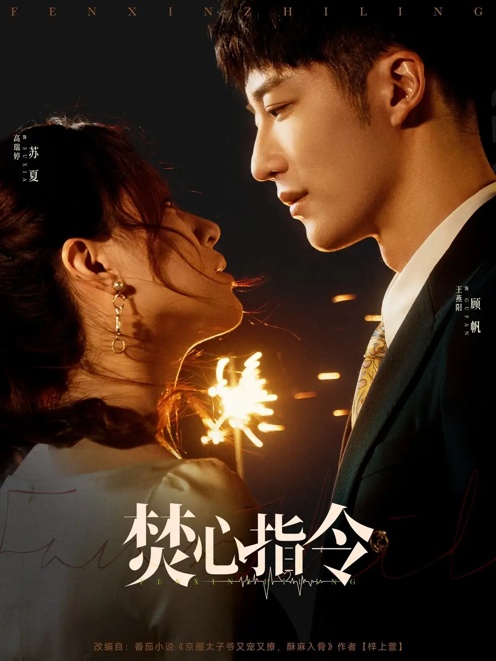 焚心指令（80集）高瑞婷