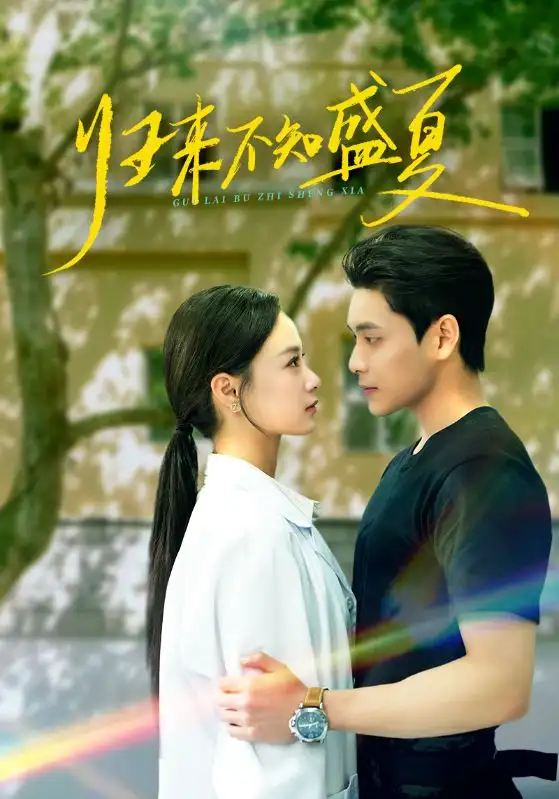 《归来不知盛夏（75集）张志伟＆王宇婧》短剧全集免费在线看