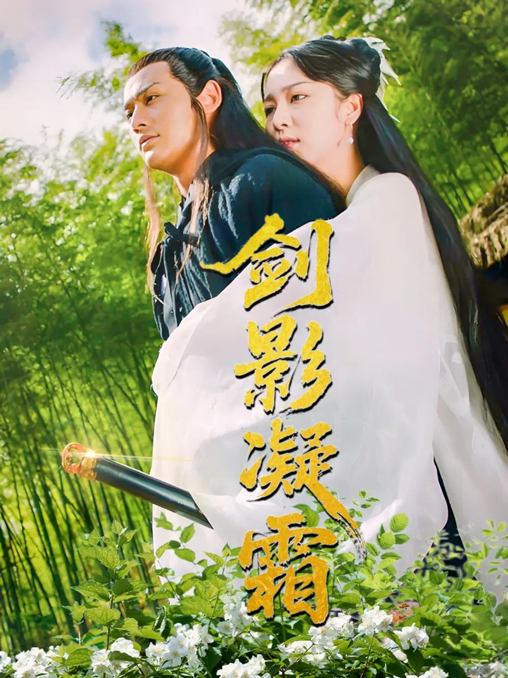 《剑影凝霜（52集）朱茉颜》短剧全集免费在线看