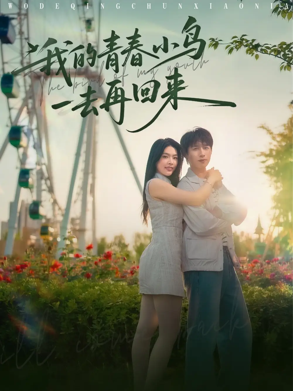 我的青春小鸟一去再回来（95集）严浩&刘彦君&瑞子&王希如