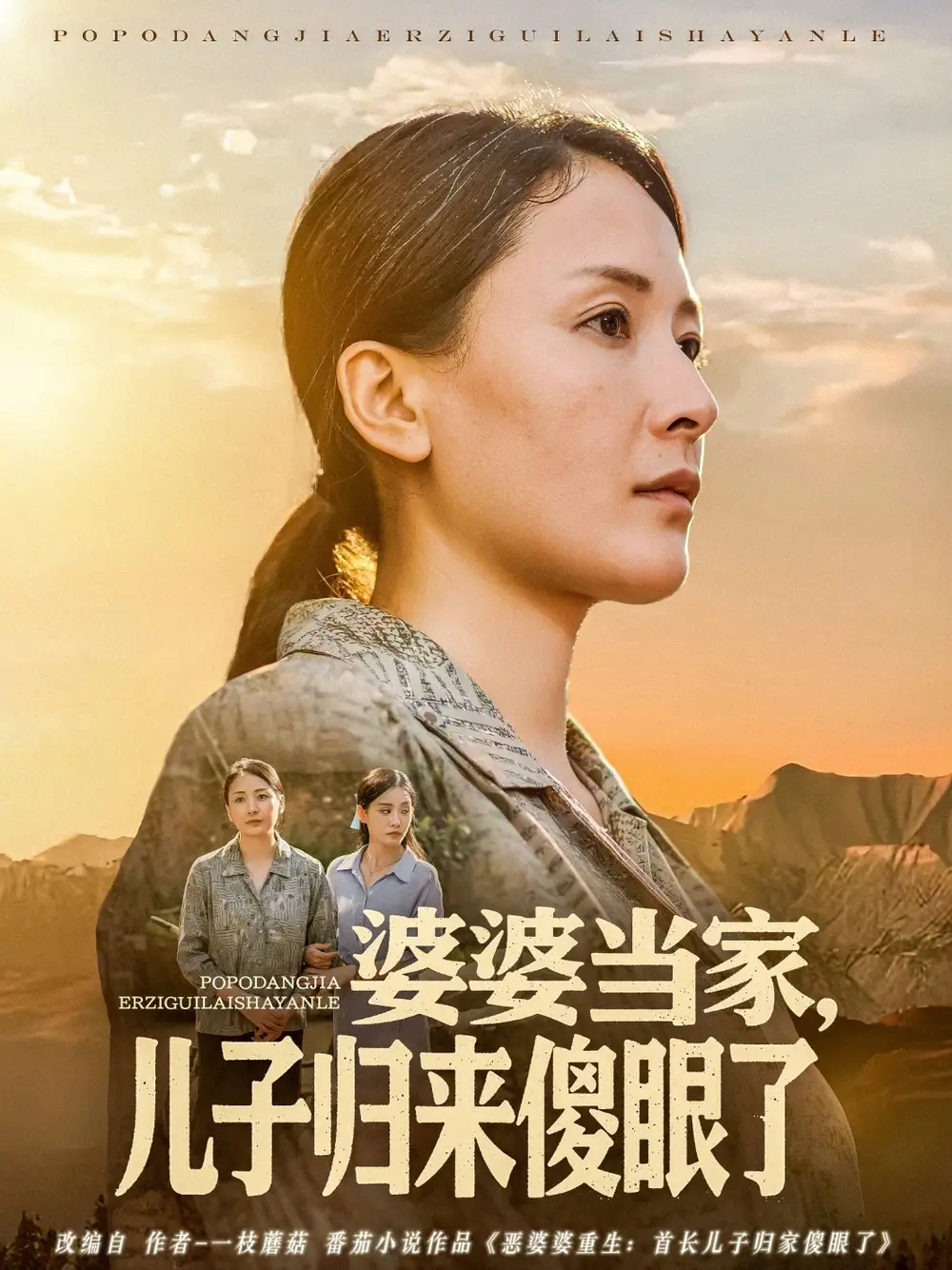 《婆婆当家儿子归来傻眼了（80集）》短剧全集免费在线看