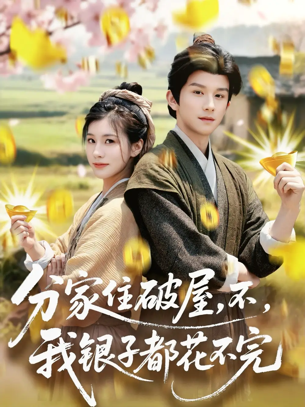 《分家住破屋不我银子都花不完（80集）》短剧全集免费在线看