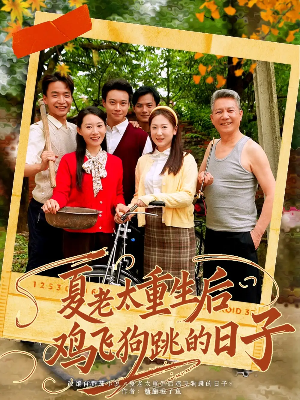《夏老太重生后鸡飞狗跳的日子（70集）》短剧全集免费在线看