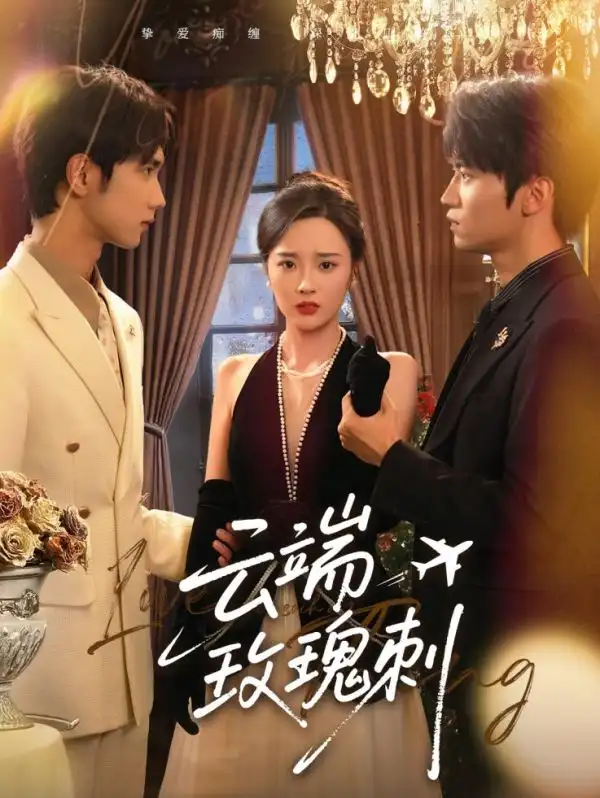 《云端玫瑰刺（68集）》短剧全集免费在线看