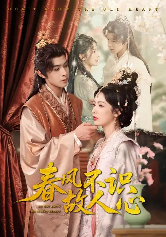 《春风不识故人心（70集）》短剧全集免费在线看